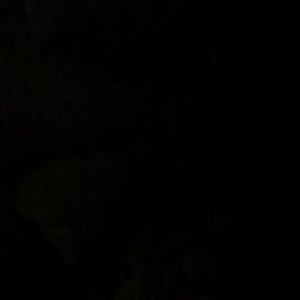 Meet your Posher, Mandy